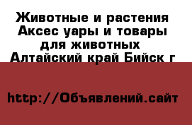 Животные и растения Аксесcуары и товары для животных. Алтайский край,Бийск г.